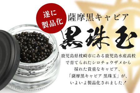 【数量限定】薩摩黒キャビア黒珠玉 鹿児島水産高校 枕崎キャビア【木箱入り】【20g×2箱】 F5-3【配送不可地域：離島】