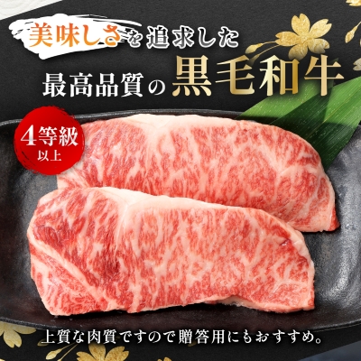 【鹿児島県産】黒毛和牛 サーロインステーキ 約510g (約170g×3枚)(枕崎市) B3-89【配送不可地域：離島】