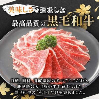 【鹿児島県産】黒毛和牛 赤身 切り落とし 1kg (500g×2)(枕崎市)  A8-111【配送不可地域：離島】
