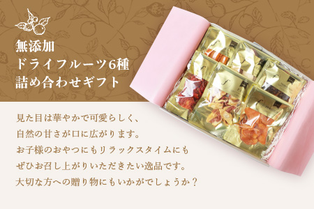 【のし付き・お中元】ドライフルーツ6種 (大6袋) 詰め合わせギフト fラボ B3-41C