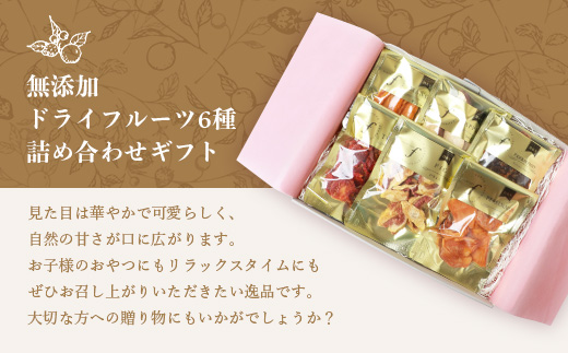 【のし付き・お歳暮】ドライフルーツ6種 (大6袋) 詰め合わせギフト fラボ B3-41S