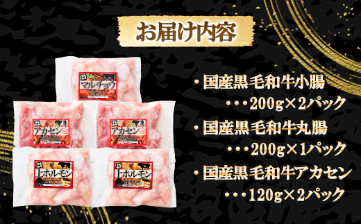 国産黒毛和牛シロホルモンセット　840g A3-383【配送不可地域：離島】