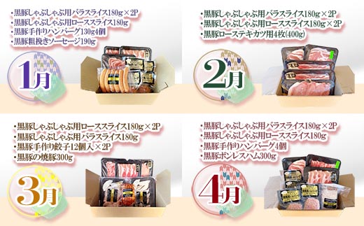 【発送月固定定期便】鹿児島県産黒豚三昧 HH-2全12回【配送不可地域：離島】