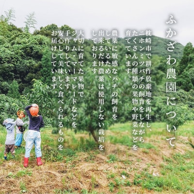 【お中元】ふかざわ農園の梅シロップ 180ml×3瓶　手づくり シロップ 希釈用  A3-27C【配送不可地域：離島】