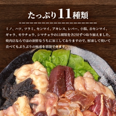 鹿児島県産黒毛和牛 ホルモン アラカルトセット 食べ比べ11部位 焼肉屋店主こだわり A3-203【配送不可地域：離島】