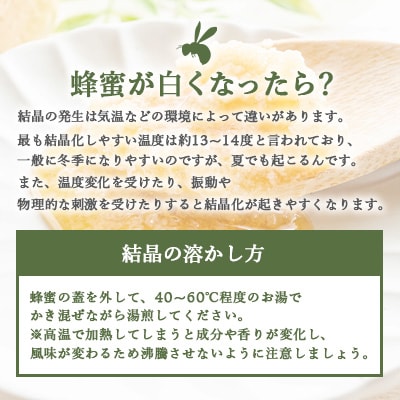 【 数量限定 】国産 生はちみつ【100%純粋】日本みつばち【非加熱・無添加の生蜂蜜】 B3-16【配送不可地域：離島】