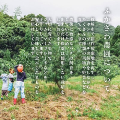 【お歳暮・のし付き】ふかざわ農園の梅シロップ 180ml×3瓶　手づくり A3-27S【配送不可地域：離島】