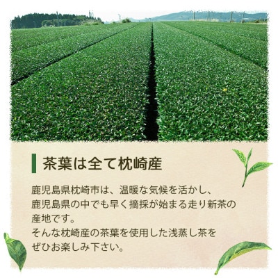 【のし付き・お歳暮】浅蒸し煎茶(100g×3袋)若蒸し煎茶 ギフト 生産者直送 枕崎市 A3-5S【配送不可地域：離島】