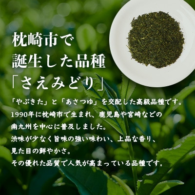 【母の日】1番茶のみを使用 有機煎茶【さえみどり】KAORU園 (100g×2本) A6-118M【配送不可地域：離島】