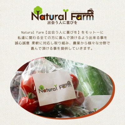 【父の日】発酵ジンジャーシロップ(150g×3個)【非加熱発酵】【米入り】A7-12F【配送不可地域：離島】