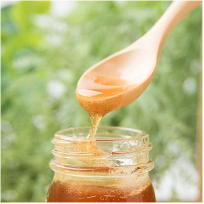 【父の日】日本ミツバチの生蜂蜜・梅シロップ・ジャム2種・バタフライピー A8-5F【配送不可地域：離島】