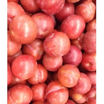 【父の日】ふかざわ農園の梅すももシロップ　A3-28F【配送不可地域：離島】