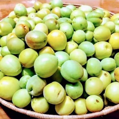 【のし付き・お中元】手づくり梅シロップ バタフライピーセット　A3-31C【配送不可地域：離島】