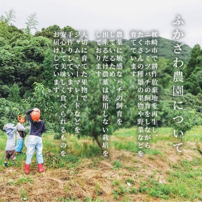 【のし付き・お中元】ふかざわ農園の梅シロップ ・手づくり シロップ ジュース 希釈用 A3-27C【配送不可地域：離島】