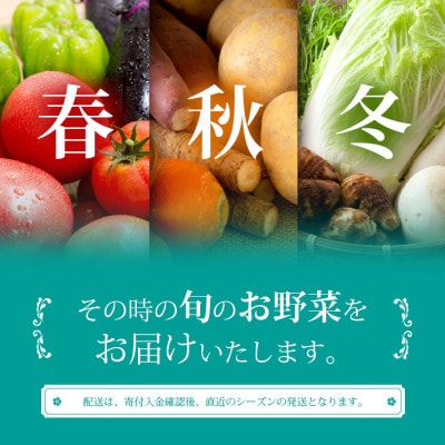 枕崎には野菜もある!!定番・旬のお試し野菜セット　Z0-27【配送不可地域：離島】