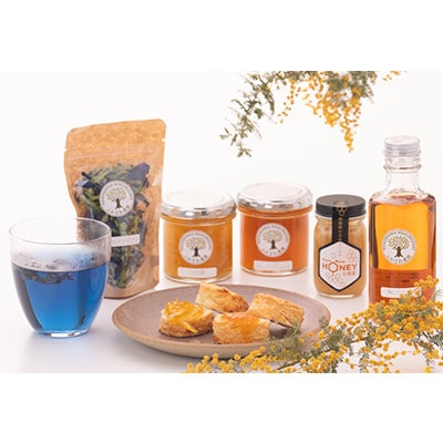 【のし付き・お歳暮】生蜂蜜・梅シロップ・ジャム2種・バタフライピー　バラエティセット A8-5S【配送不可地域：離島】