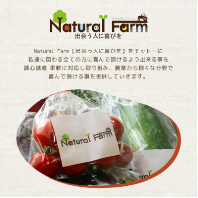 【のし付き・お歳暮】発酵ジンジャーシロップ(150g×3個)【非加熱発酵】【米入り】A7-12S【配送不可地域：離島】