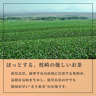 【のし付き・お歳暮】一番茶のみ使用　ほっこり煎茶 100g×3袋 A5-1S【配送不可地域：離島】