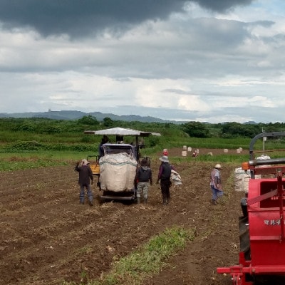 【本格焼酎】きばいやんせ【鹿児島限定】 900ml×1本 X0-12【配送不可地域：離島】