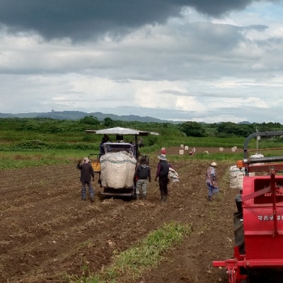 【本格焼酎】きばいやんせ【鹿児島限定】 900ml×2本 A2-12【配送不可地域：離島】