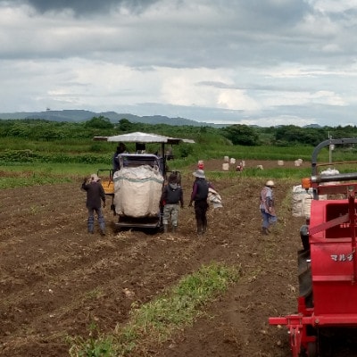 【本格焼酎】きばいやんせ【鹿児島限定】 900ml×6本 B5-5【配送不可地域：離島】