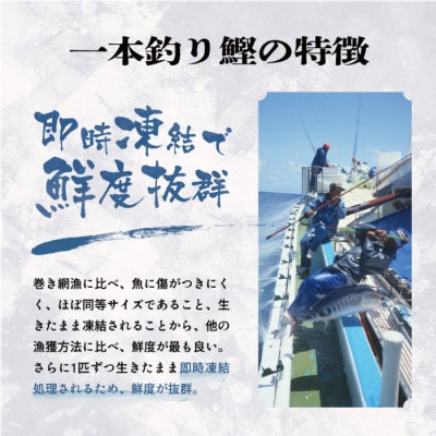 【数量限定】訳あり 一本釣りゆず香り焼きタタキ500g(タレ付き)50周年記念商品限定 X0-15【配送不可地域：離島】