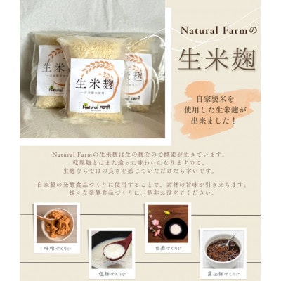 発酵ジンジャーシロップ＆生米麹　各3パックセット B4-5【配送不可地域：離島】