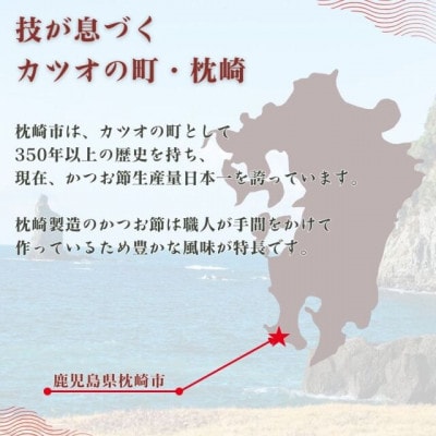 枕崎かつおつゆ 1L(×10本)(枕崎市) B3-96【配送不可地域：離島】