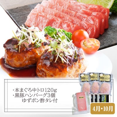 【数量限定】3回定期便　A5等級黒毛和牛・サンクショコラ　EE0-0008【配送不可地域：離島】