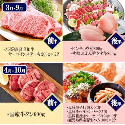 プレミアム定期便　枕崎産天然伊勢海老　鹿児島県産　黒毛和牛・黒豚　海の幸　24回配送 EX-0001【配送不可地域：離島】