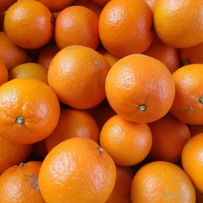 まるで果実!!南薩摩の果汁たっぷりゼリー6個箱入り Z0-59【配送不可地域：離島】