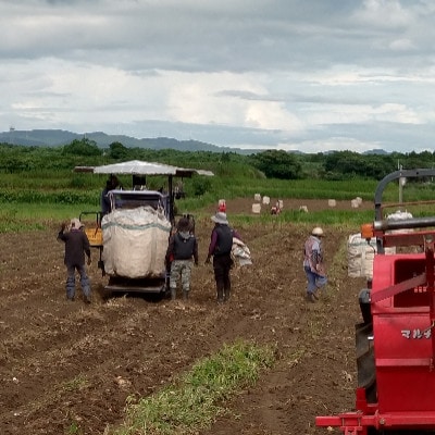 本格芋焼酎【明治の正中(しょうちゅう)】復刻版 どんぶり仕込み 1800ml B2-16【配送不可地域：離島】