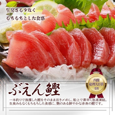 枕崎ぶえんかつお(活き〆血合抜き刺身)　600g A0-79【配送不可地域：離島】