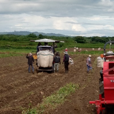 【本格焼酎】南之方　1800mlパック×6パック D5-1【配送不可地域：離島】