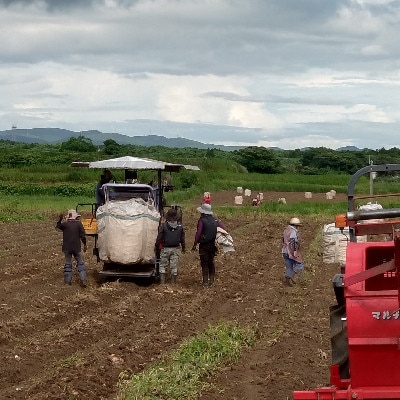 【本格焼酎】南之方　1800mlパック×5パック C8-1【配送不可地域：離島】
