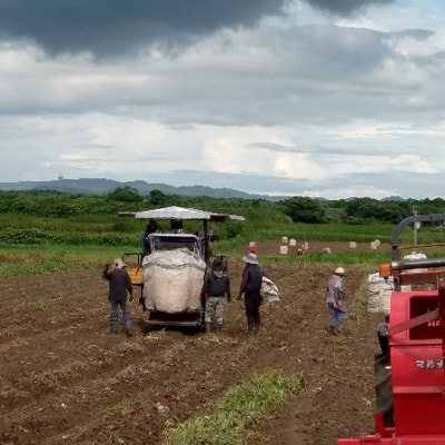 【本格焼酎】南之方　1800mlパック×3パック B6-5【配送不可地域：離島】