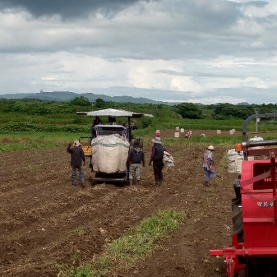 【本格焼酎】南之方　1800mlパック×2パック A8-125【配送不可地域：離島】