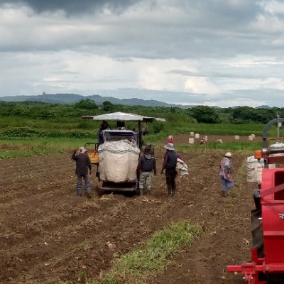 【本格焼酎】南之方　1800mlパック×1パック A0-80【配送不可地域：離島】