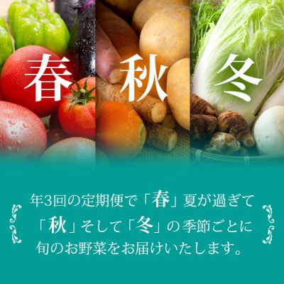 【発送月固定定期便】枕崎の野菜!!定番・旬の野菜お任せセット(5・11・2月)DD0-0008全3回【配送不可地域：離島】