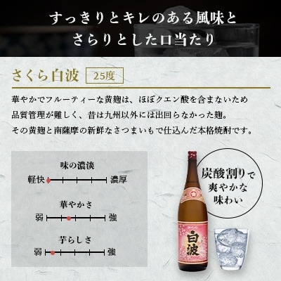 【毎月定期便】枕崎の定番焼酎【さくら白波】1800ml×2本セット DD0-0013 全3回【配送不可地域：離島】
