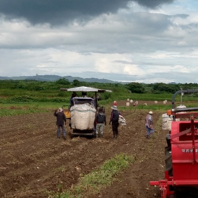 【毎月定期便】薩摩酒造の定番の焼酎【黒白波】1800ml×2本セット! DD0-0025 全3回【配送不可地域：離島】