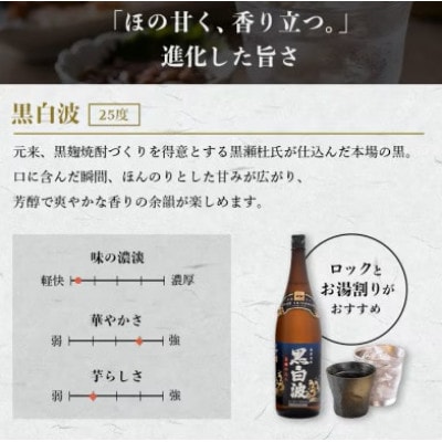 【毎月定期便】薩摩酒造の定番【さつま白波＆黒白波】1800ml×2本セット HH0-0007 全6回【配送不可地域：離島】