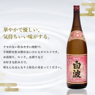 【毎月定期便】薩摩酒造の定番の焼酎【さくら白波】1800ml×2本セット! HH0-0006 全6回【配送不可地域：離島】