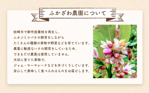 ふかざわ農園の梅シロップ 180ml×3瓶　手づくり シロップ ジュース 希釈用  A3-27【配送不可地域：離島】