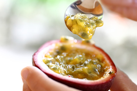 【先行受付】トロピカルパッションフルーツ約1.5Kg  A3-50 【発送は2026年6月中旬予定】【配送不可地域：離島】