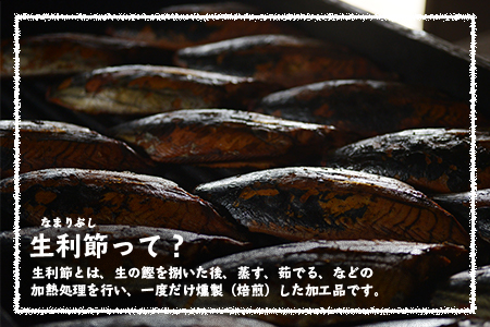 アレンジいろいろ【食べきり生利節】 枕崎産 鰹 かつお なまりぶし A3-289【配送不可地域：離島】