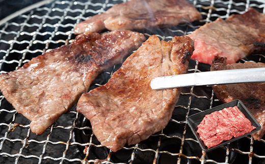 【牛と鰹】満喫セットF 枕崎牛 カルビ＆サイコロステーキ・枕崎産 一本釣り かつおタタキ E7-1【配送不可地域：離島】