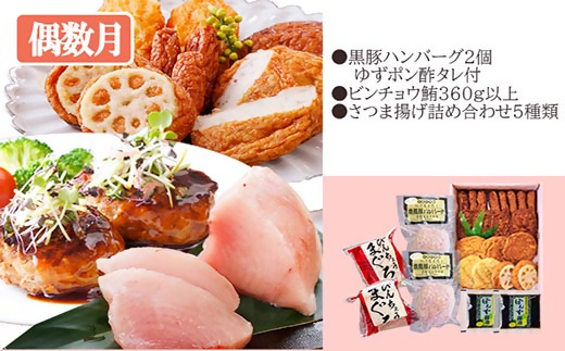 定期便(2回配送)枕崎お楽しみ便(黒毛和牛・まぐろ・手作りハンバーグ・さつまあげ等) DD-6002【配送不可地域：離島】