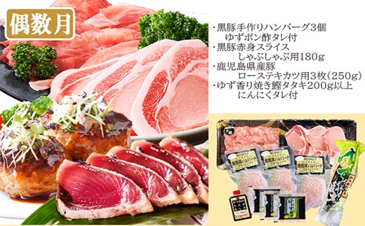 定期便(2回配送)鹿児島県産黒毛和牛・豚肉・一本釣りかつお DD-6004【配送不可地域：離島】