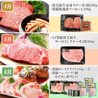 定期便(1年で10回配送)お楽しみ便(A5等級黒毛和牛・黒豚)HH-6004【配送不可地域：離島】